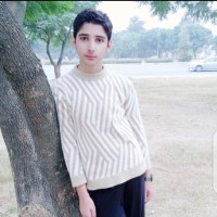 Hamza Waheed