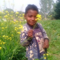 Jai Prakash
