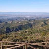 Pau Matutano Vila