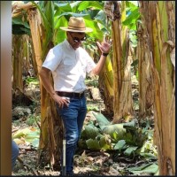Rolando Vindas C