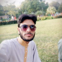 Mohammed Anzar Moini