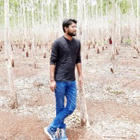 BHANU N
