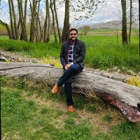 Ehsan Fallahi