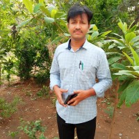 Gopal Rao