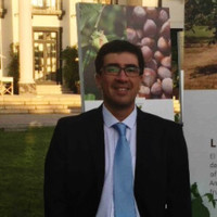René Alejandro Díaz Contreras
