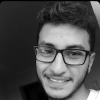 Mohamed Atef Hoseny