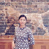 Fei Yuan