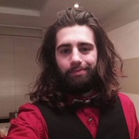 Maarten van den Berg