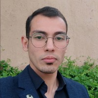 Mohammad Mehdi Kamalzadeh
