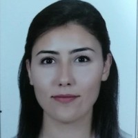 Nisreen Al Madhoun