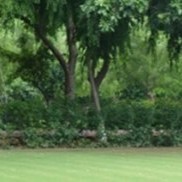 Srinath Vadd