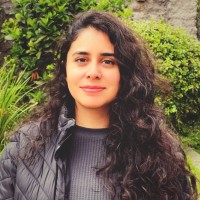 Javiera Paredes Cortés