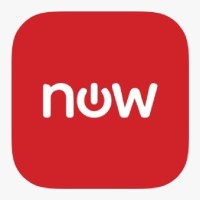 Servicenow Developer