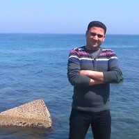 Amr Alshamy