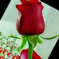Ab Rashid Bhat