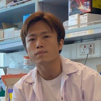 Ching Koon Lim, Phd