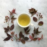 ChaiWali Shayra