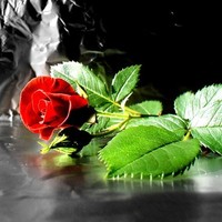 Reham Qudan