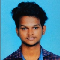Vigneshwaran S