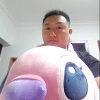 杨玉宏