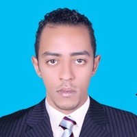 mahmoud shokry