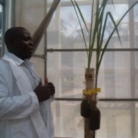 Evans Onginjo