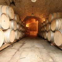 Ludovica Fabbri Curcio