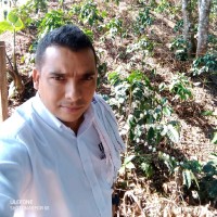 Moisés David Perea Noguera