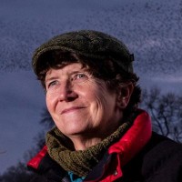 Jo Webb