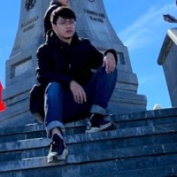 Duong Dao Viet
