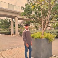 Swaroop N B