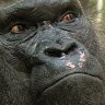 Benjamin Brough