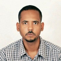 alaaeldin wareth ahmed