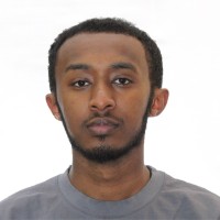 Mezemir T.