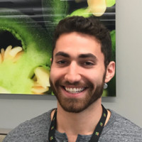 Matthew Digregorio
