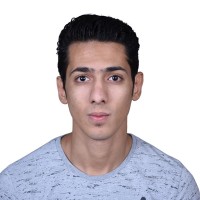 Mohamed Ayman Ali Shaker