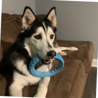 Juan Castillo Vazquez