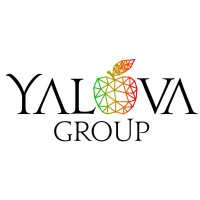 Yalova Group