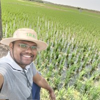 Johnson Raju