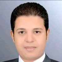 Hossam Nasr El-Din Hussein