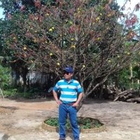 Huy Lương