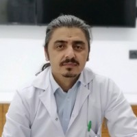 yücel inan