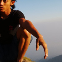 TRI WIDIYANTO FITRI ALAMIN