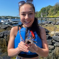 Jennifer Medd