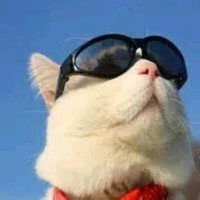孙亚中