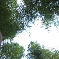 吴文慧
