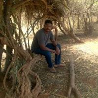 Karthikeyan Palanisamy