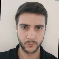 Nicola Gaudenzi