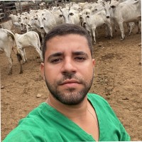 Andre Vitor