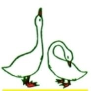 ABC FLOPPY INFORMATICA